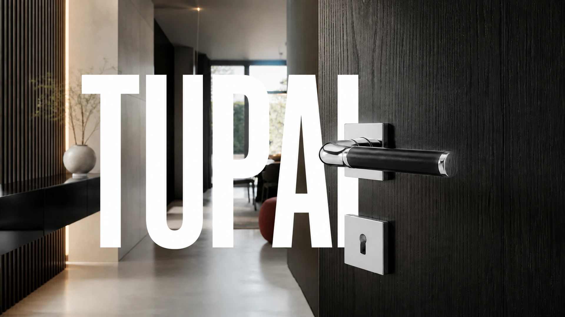 Тематическая иллюстрация проекта TUPAI